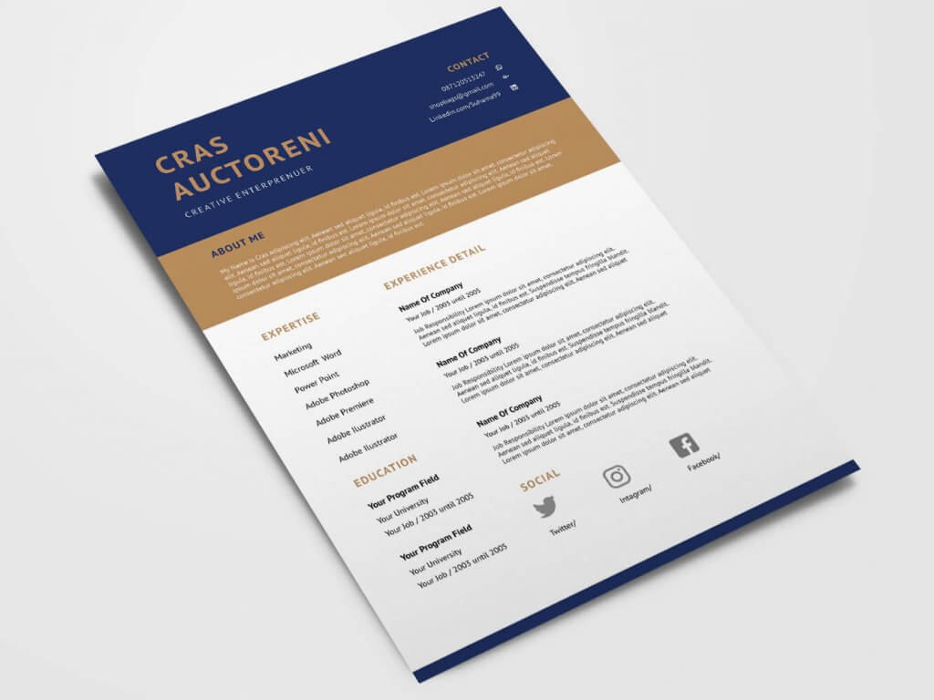 Free Flad CV/Resume Template is a one page resume template.