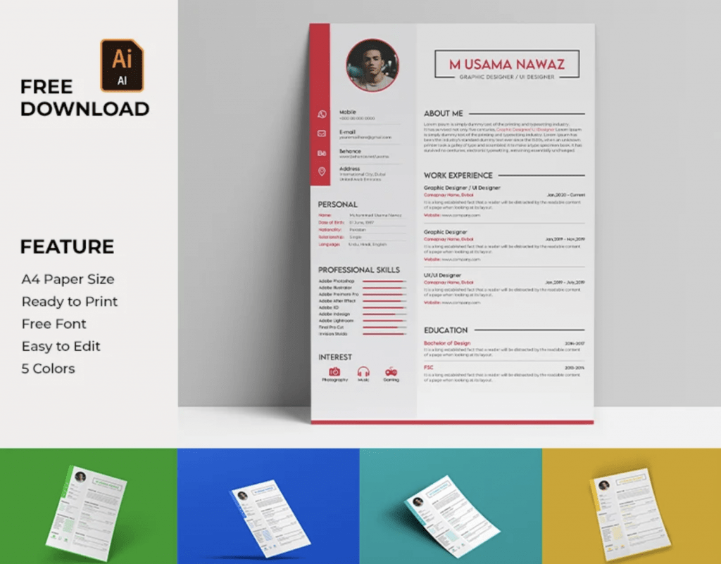 Professional Resume or CV free Template