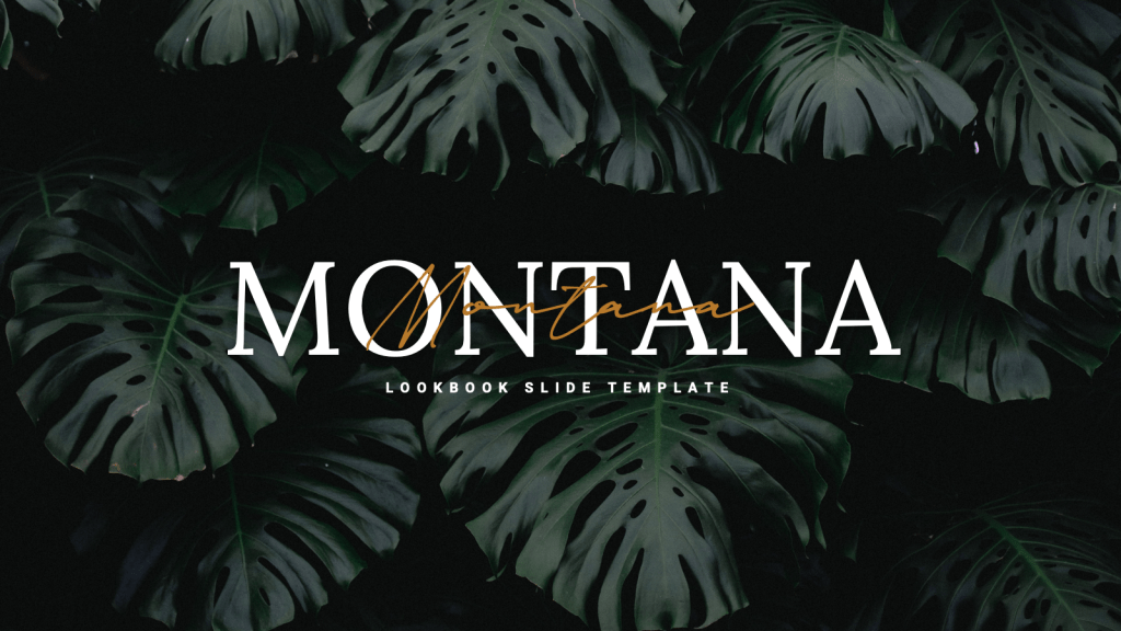 Montana cover page