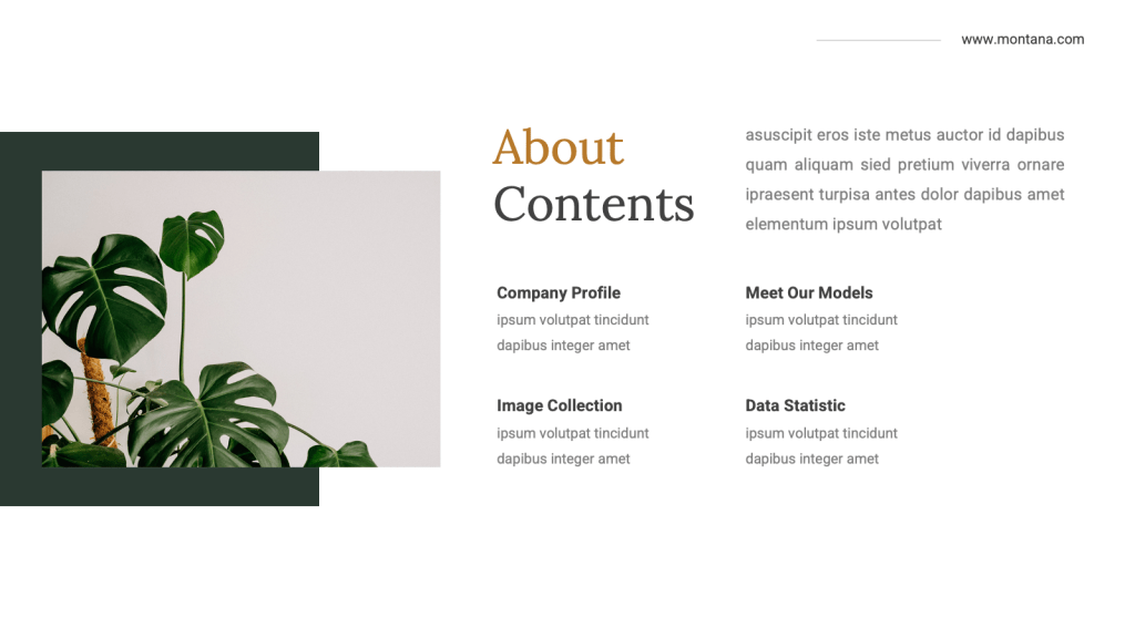 About contents design from Montana PPT template