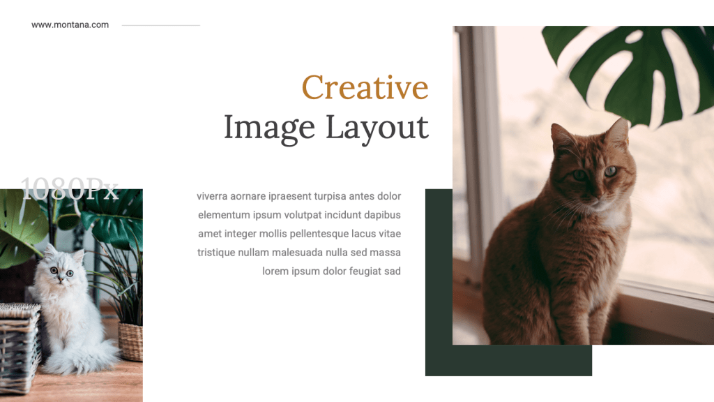 Creative Image Layout design from Montana ppt template
