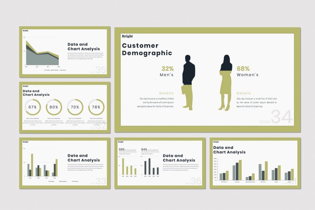 BBright PowerPoint presentation template preview: data and chart analysis, customer demographic