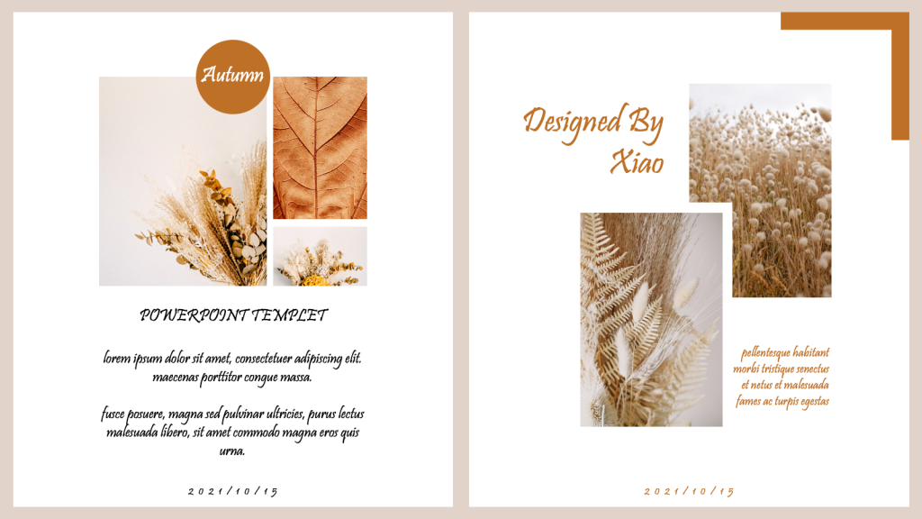 Free Fall PowerPoint Templates7