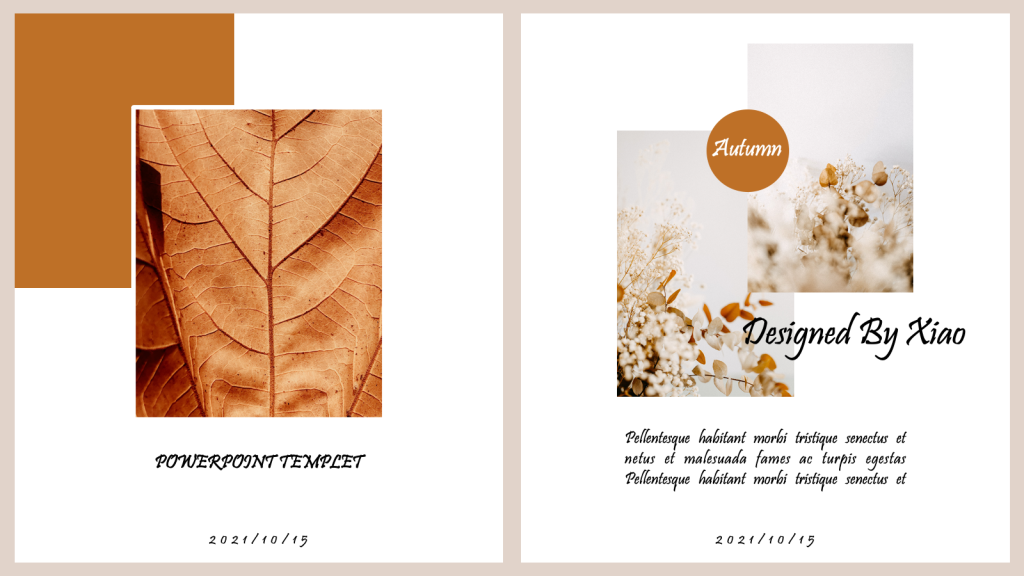 Free Fall PowerPoint Templates8