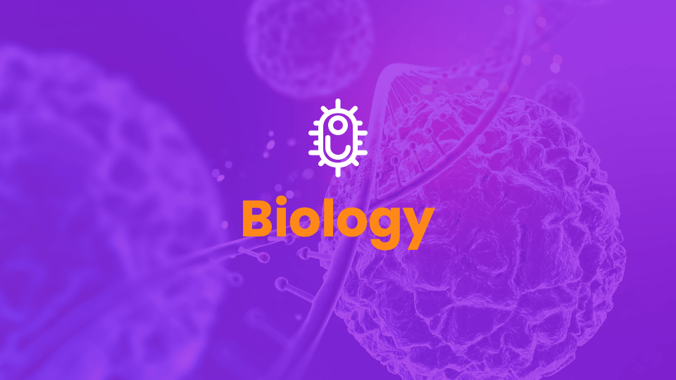 Themes For Google Slides Biology