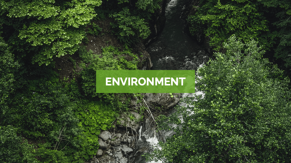 Breakpage slide of the Green Environment Presentation Template