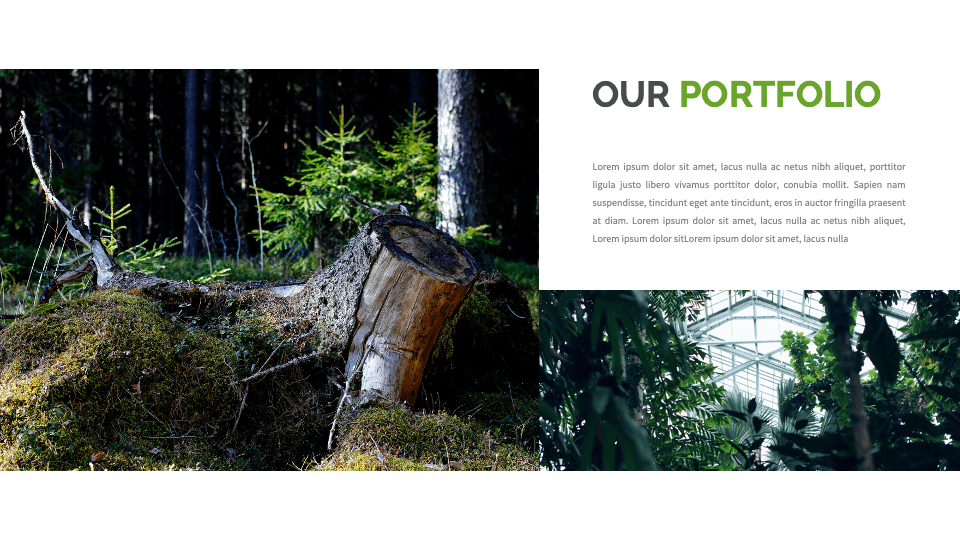Our porftolio slide of the Green Environment Presentation Template