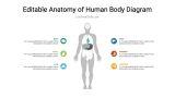 Anatomy of Human Body Diagram PPT Template