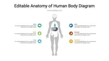 Anatomy of Human Body Diagram PPT Template