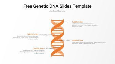 Genetic DNA Slides Template