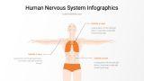 Human Nervous System Infographics