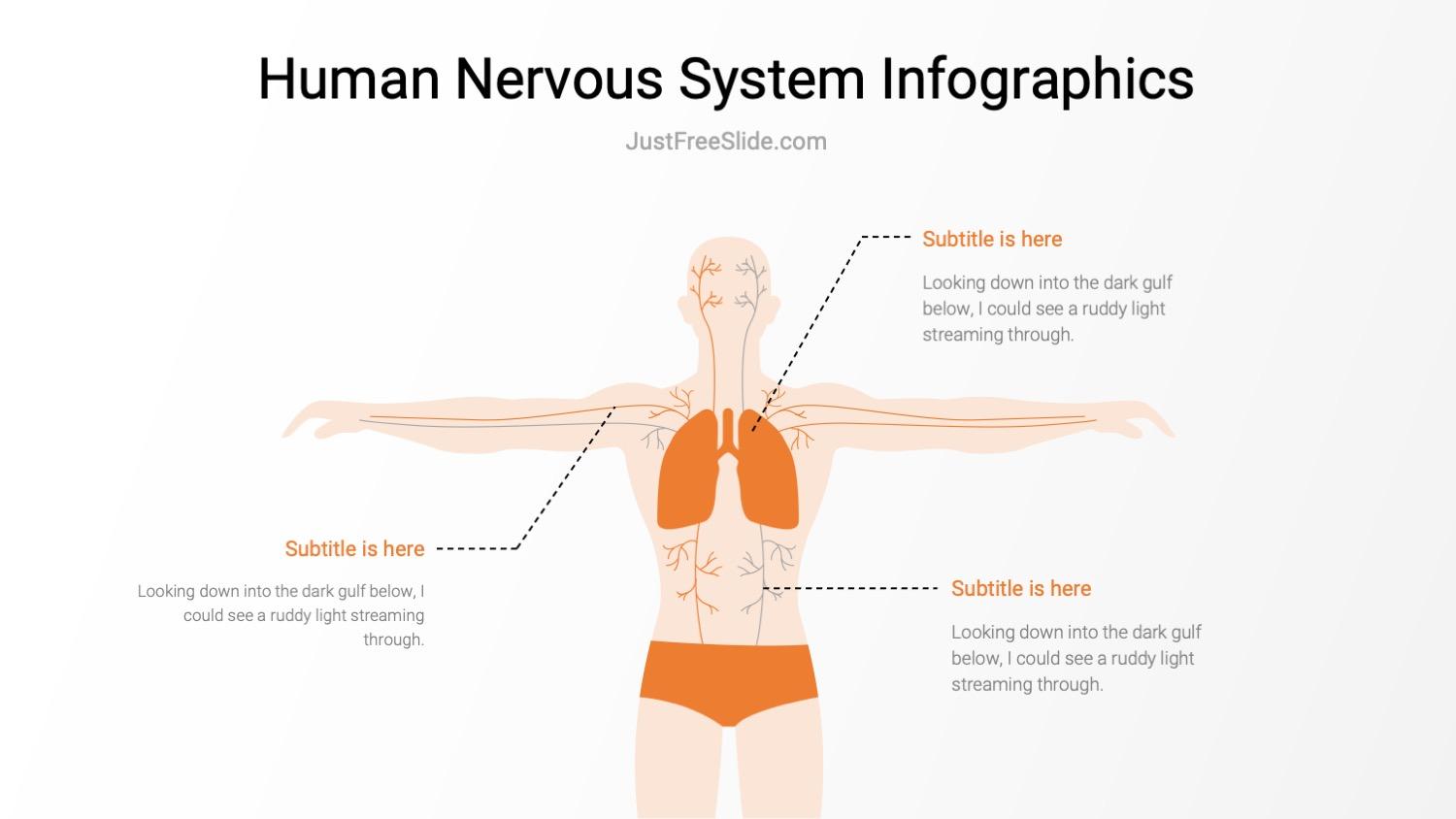 Simple Human Nervous System Infographics