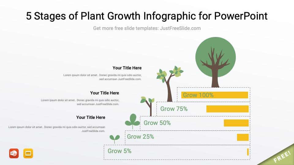 5 Stages of Plant Growth Infographic for PowerPoint