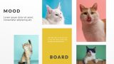 Mood Board Slide Design for PowerPoint