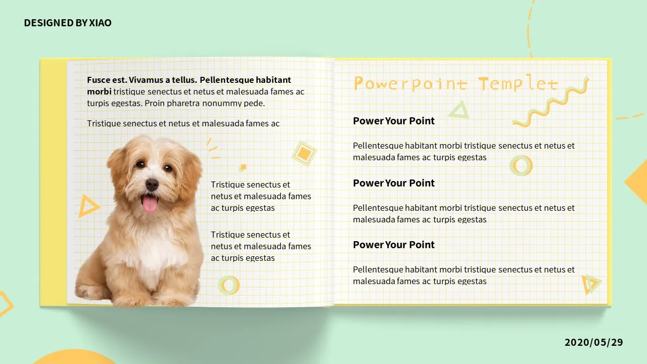 Dog Cat PowerPoint Slides10