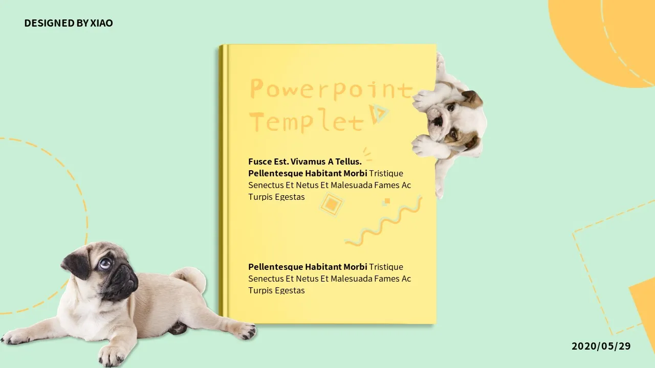 Dog Cat PowerPoint Slides11