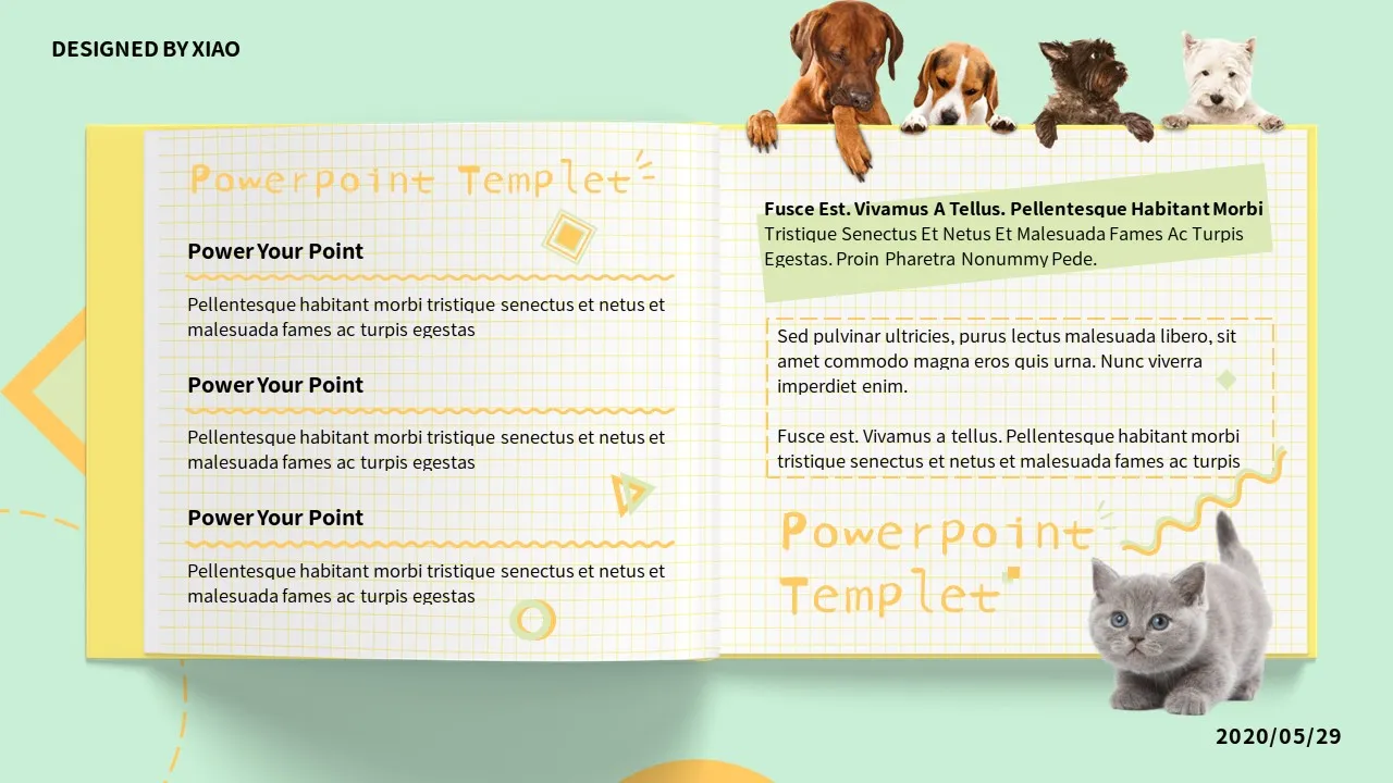Dog Cat PowerPoint Slides5