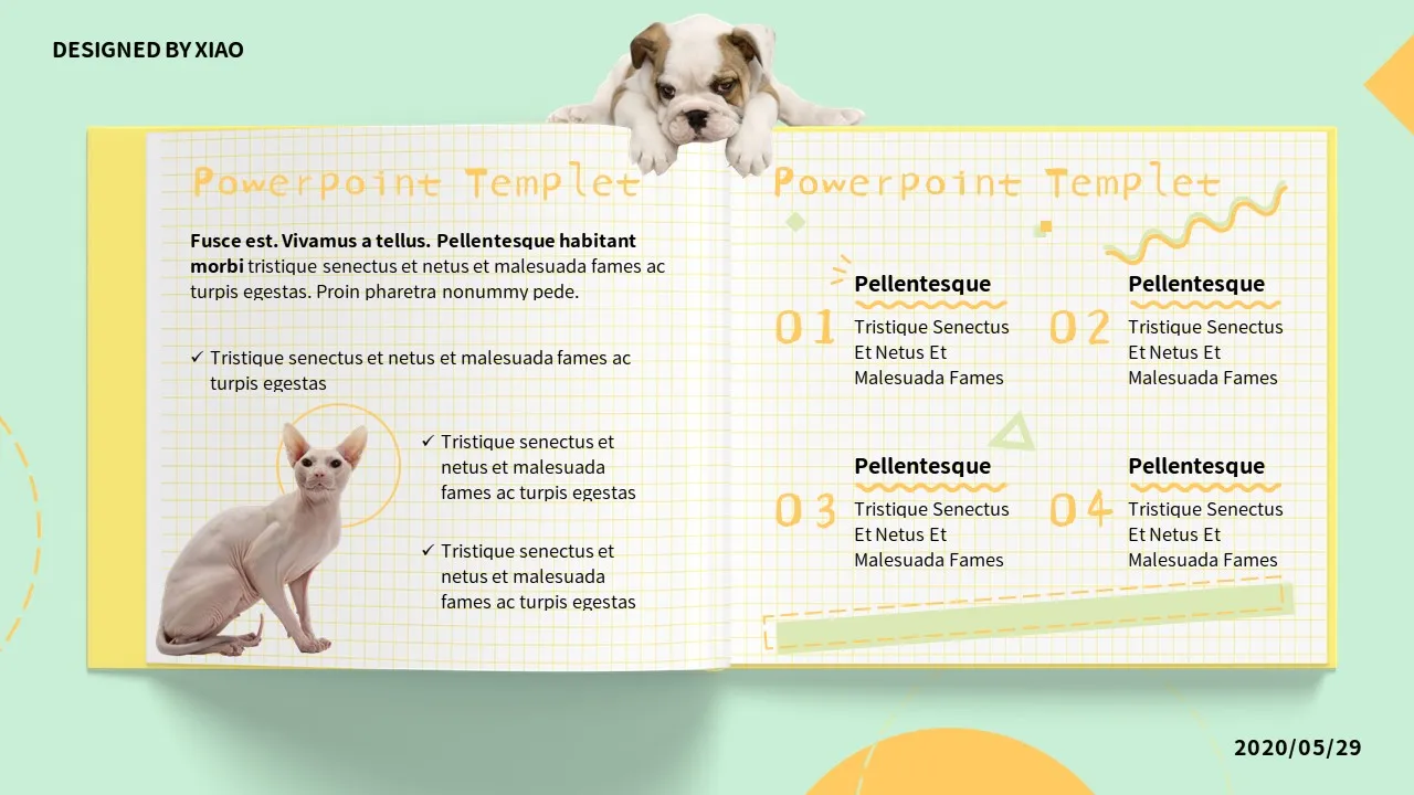 Dog Cat PowerPoint Slides6