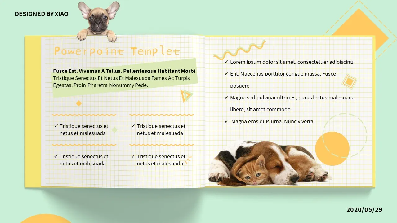 Dog Cat PowerPoint Slides7