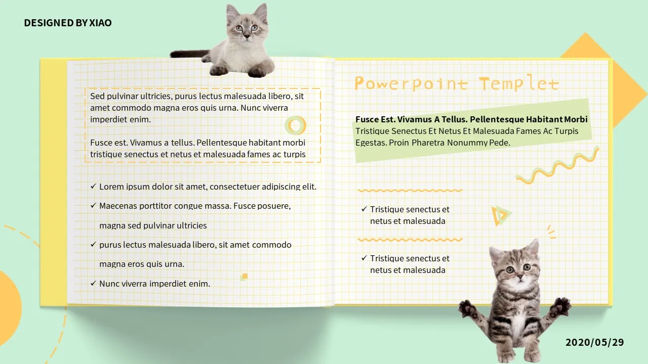 Dog Cat PowerPoint Slides8