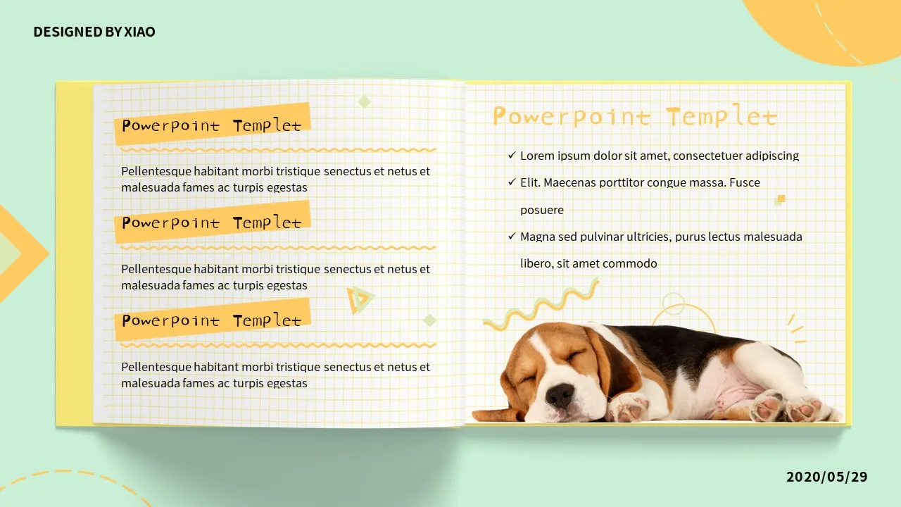 Dog Cat PowerPoint Slides9