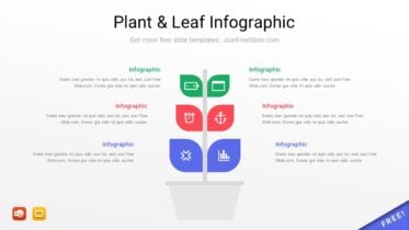 Plant Leaf Infographic